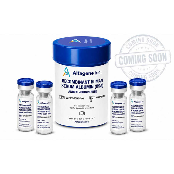 Recombinant Human Serum Albumin (HSA)