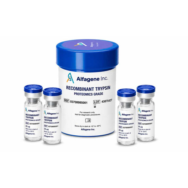 Recombinant Trypsin