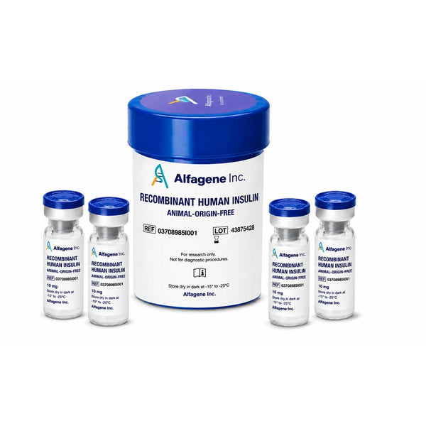 Recombinant Human Insulin